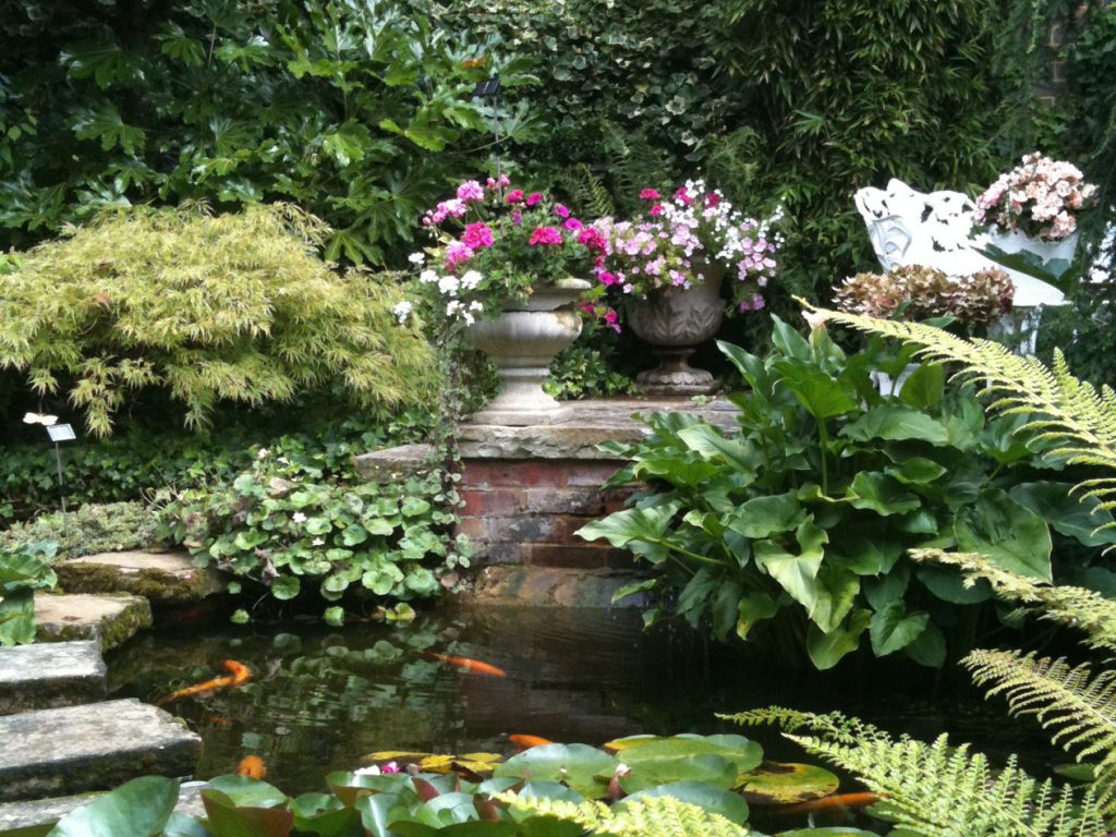 Garden fish pond surrounded by greenery